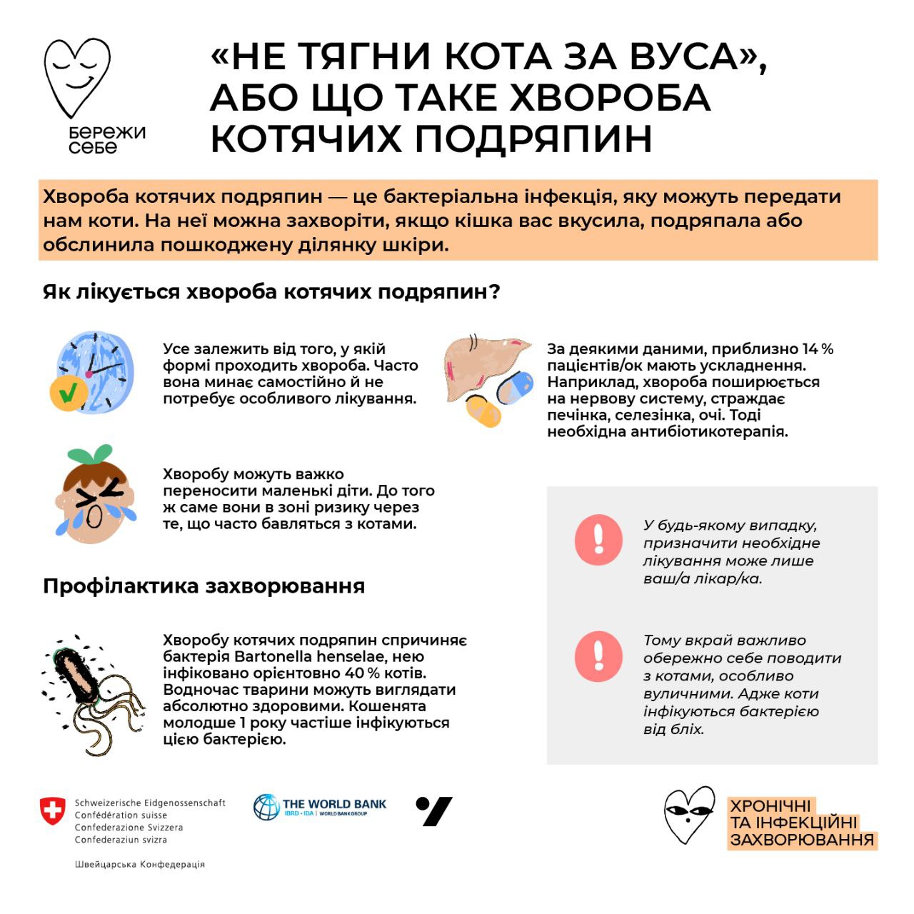 Що робити, якщо вас подряпав чи вкусив кіт: такі рани можуть бути небезпечними